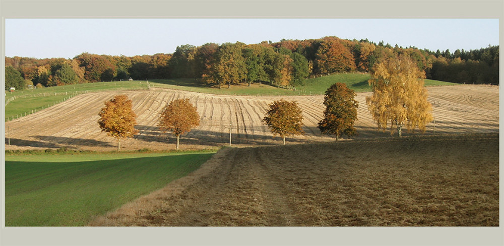 Jahreszeiten-Serie: Am Eichenhain, Kiekeberg, Landkreis Rosengarten im Herbst