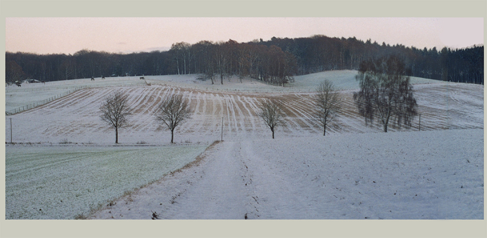 Jahreszeiten-Serie: Am Eichenhain, Kiekeberg, Landkreis Rosengarten im Winter mit Schnee