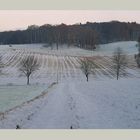 Jahreszeiten-Serie: Am Eichenhain, Kiekeberg, Landkreis Rosengarten im Winter mit Schnee