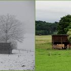 Jahreszeiten - Vergleich - Sommer / Ewig Winter
