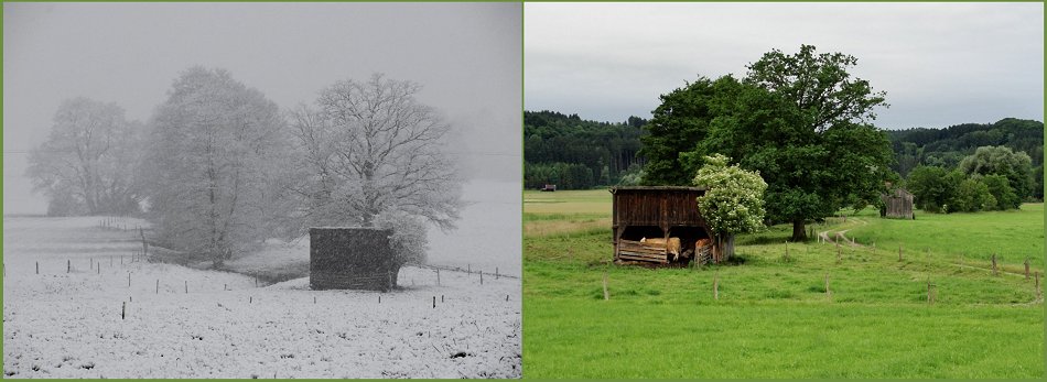 Jahreszeiten - Vergleich - Sommer / Ewig Winter