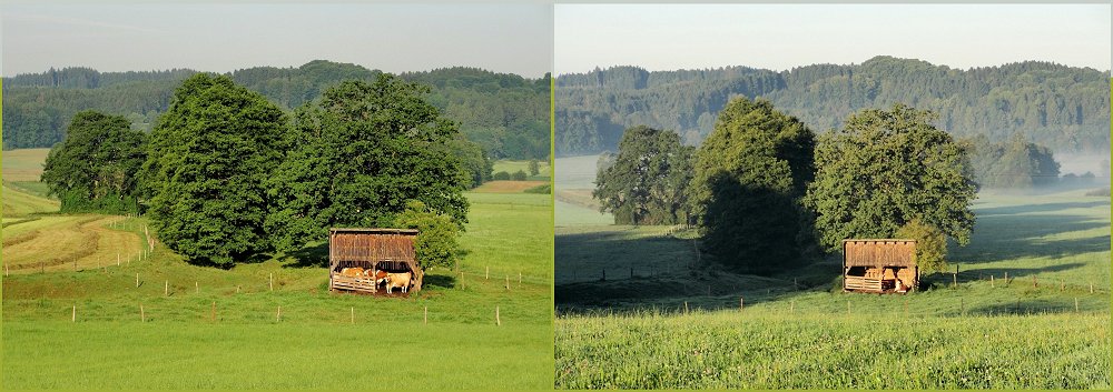 Jahreszeitenvergleich Frühsommer / Spätsommer