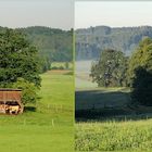 Jahreszeitenvergleich Frühsommer / Spätsommer