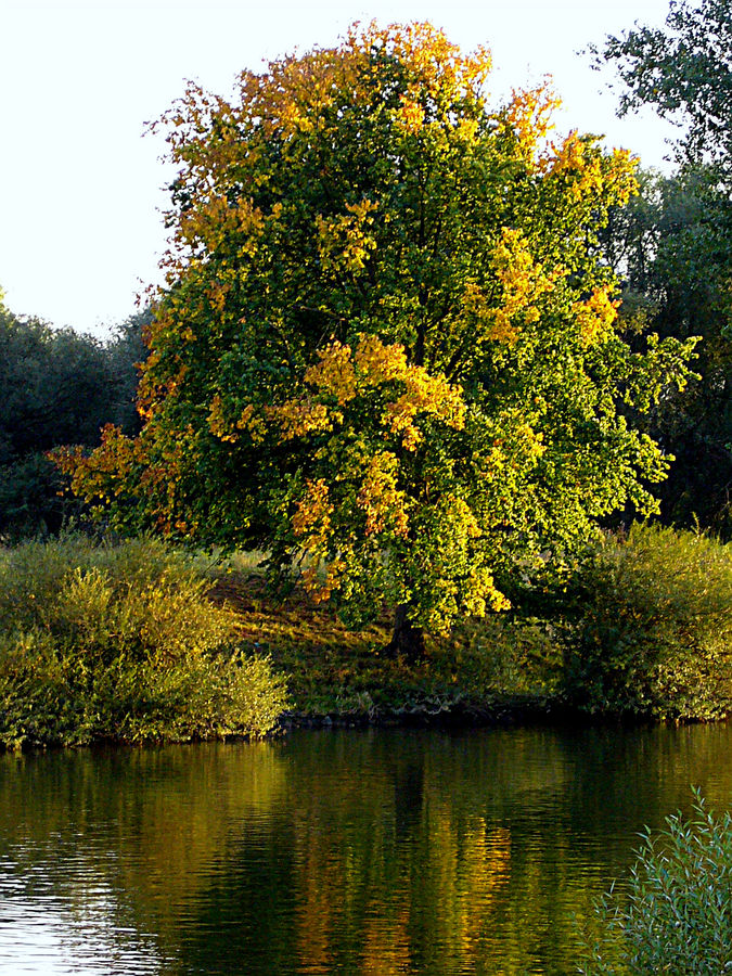 Jahreszeitenwechsel