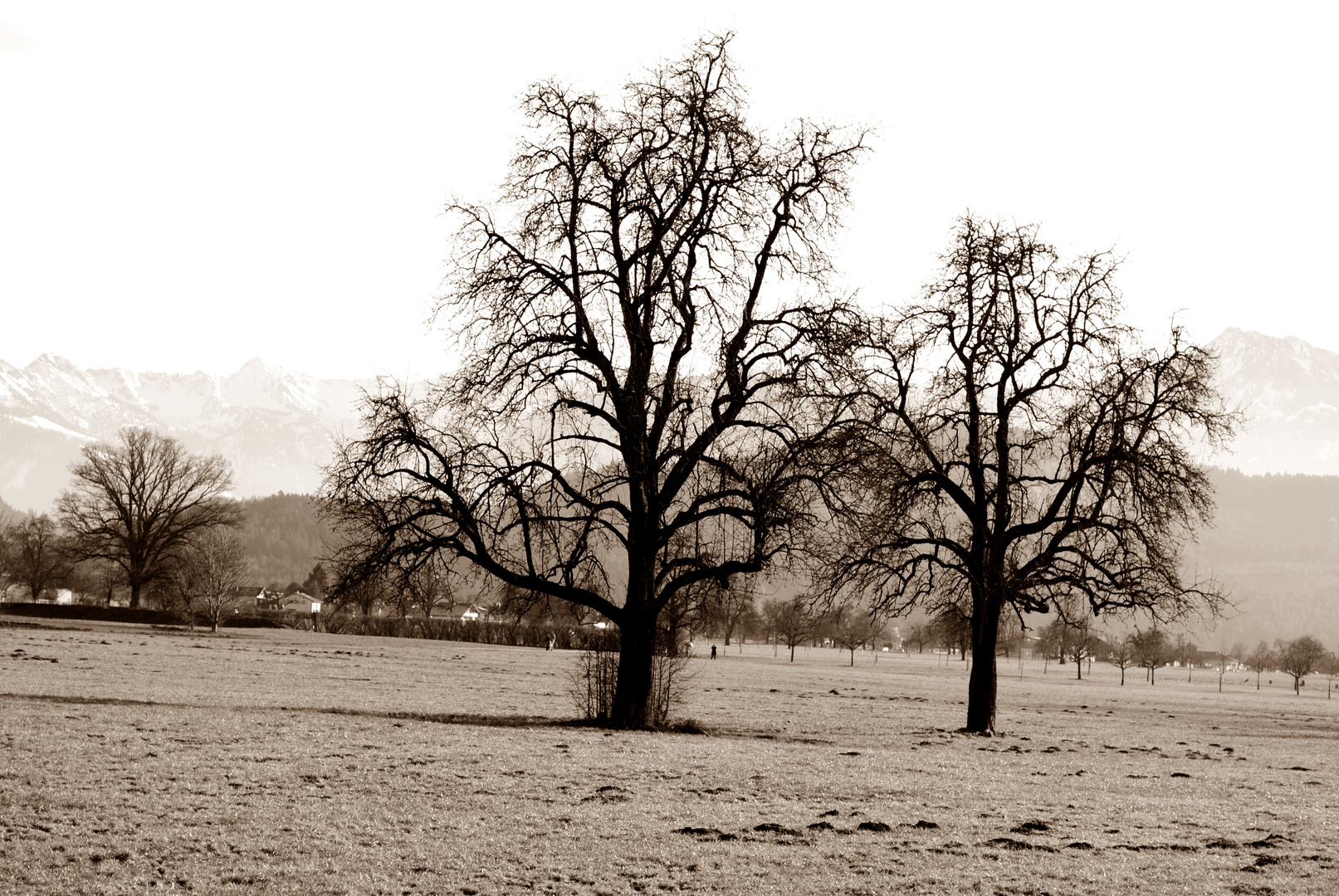 Jahreszeit_Herbst