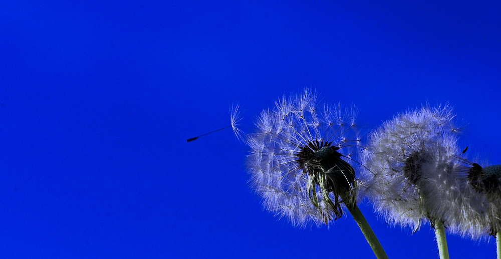 jahreszeitliches Allerweltsmotiv