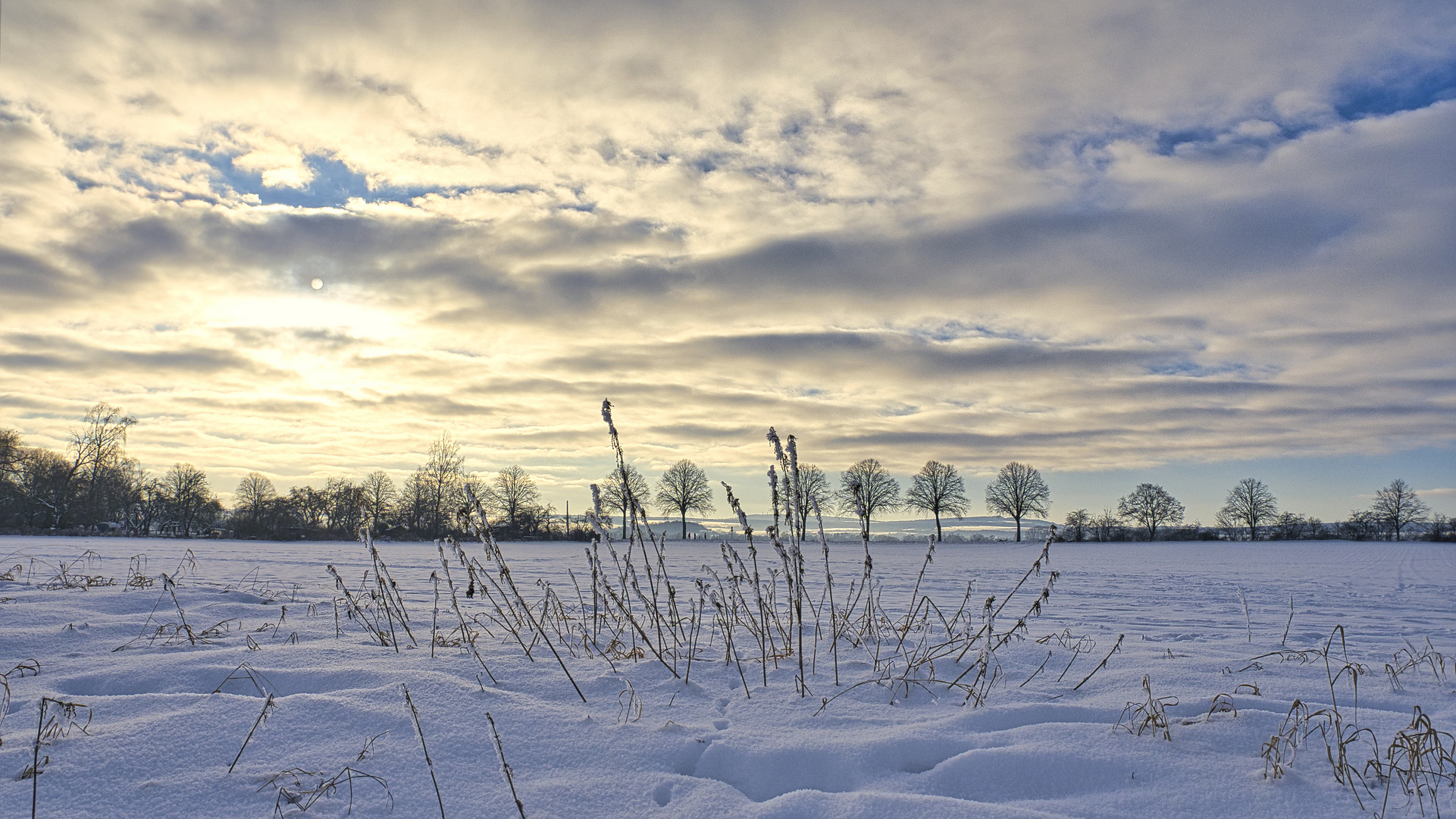 Jahrhundertwinter