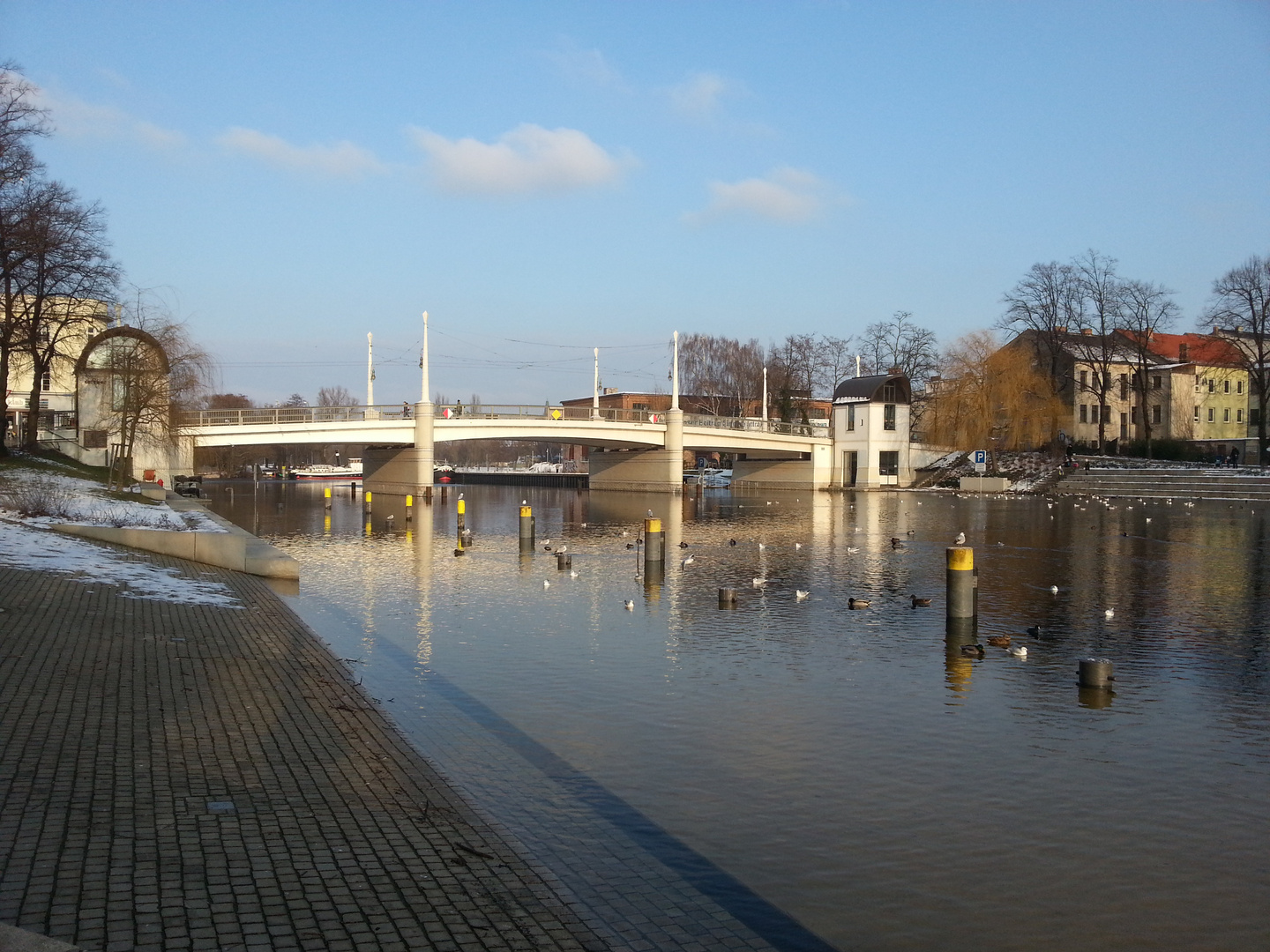 Jahrtausendbrücke im Winter