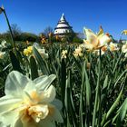 Jahrtausendturm im Elbauenpark Magdeburg 