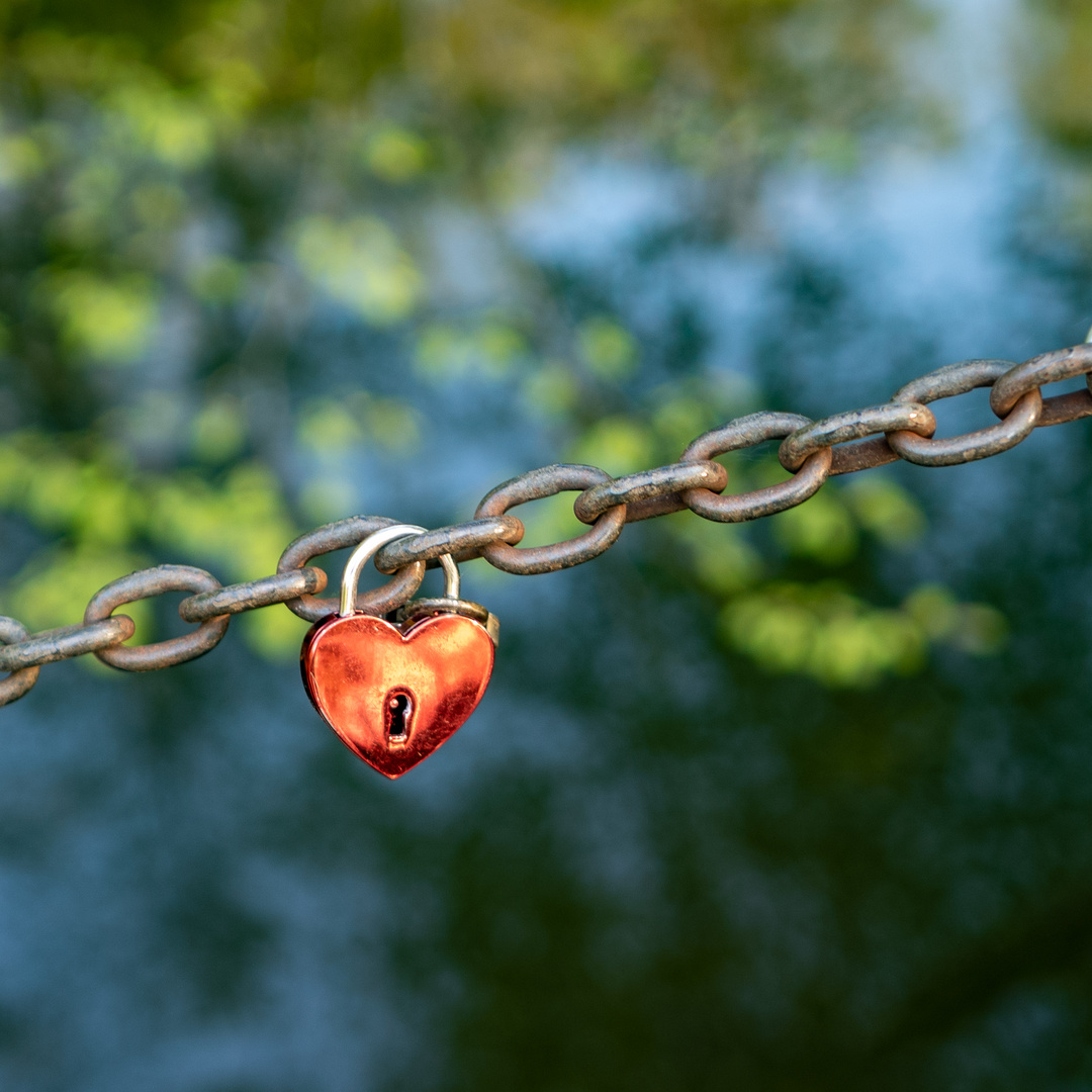 J´ai acheté des chaines , des lourdes chaines , pour toi mon amour