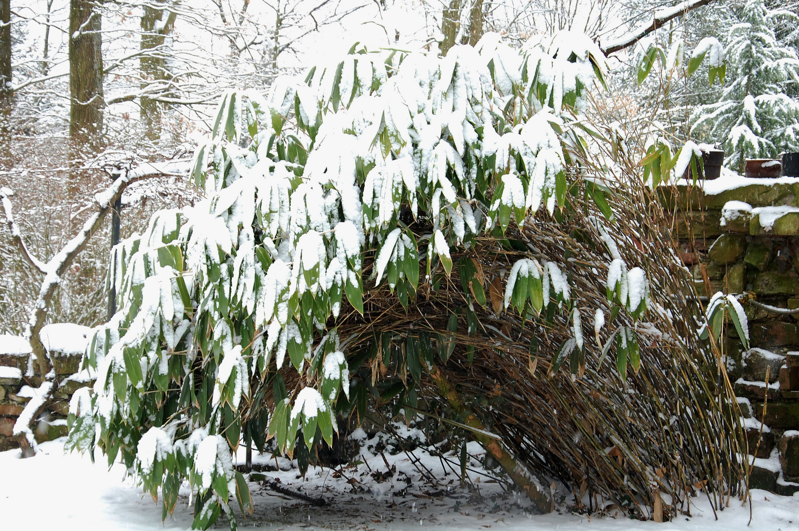 J'ai besoin de soutien. Je croule sous le poids de la neige.