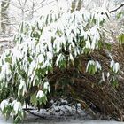 J'ai besoin de soutien. Je croule sous le poids de la neige.