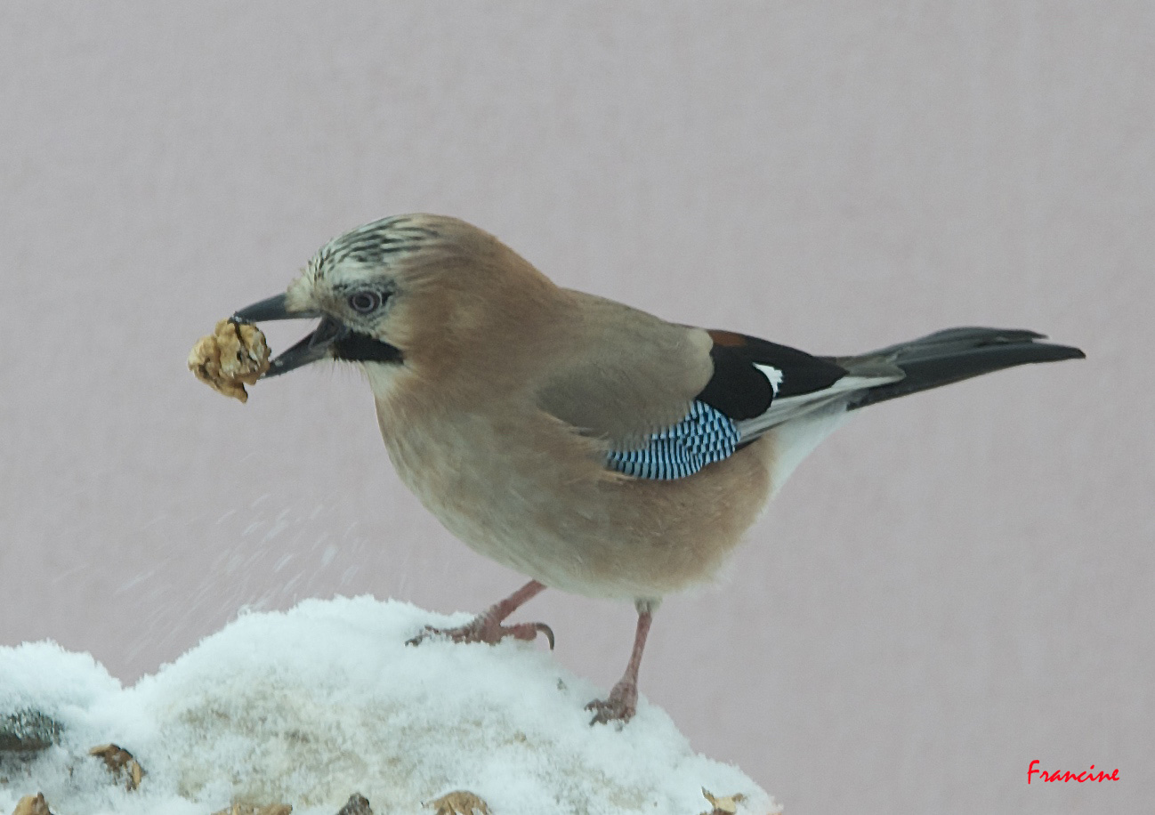 J'ai trop faim ...