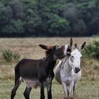 J'ai un secret à te dire !