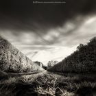 "...j'ai vu le bout du tunnel..." (Infrared)