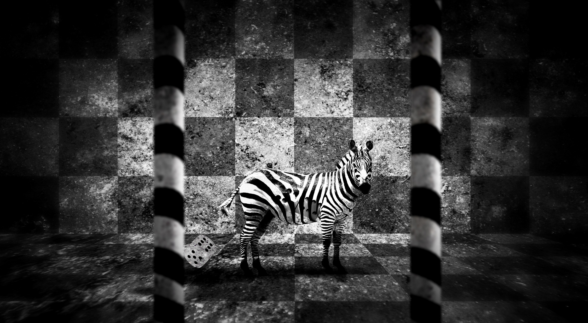 jail of zebra