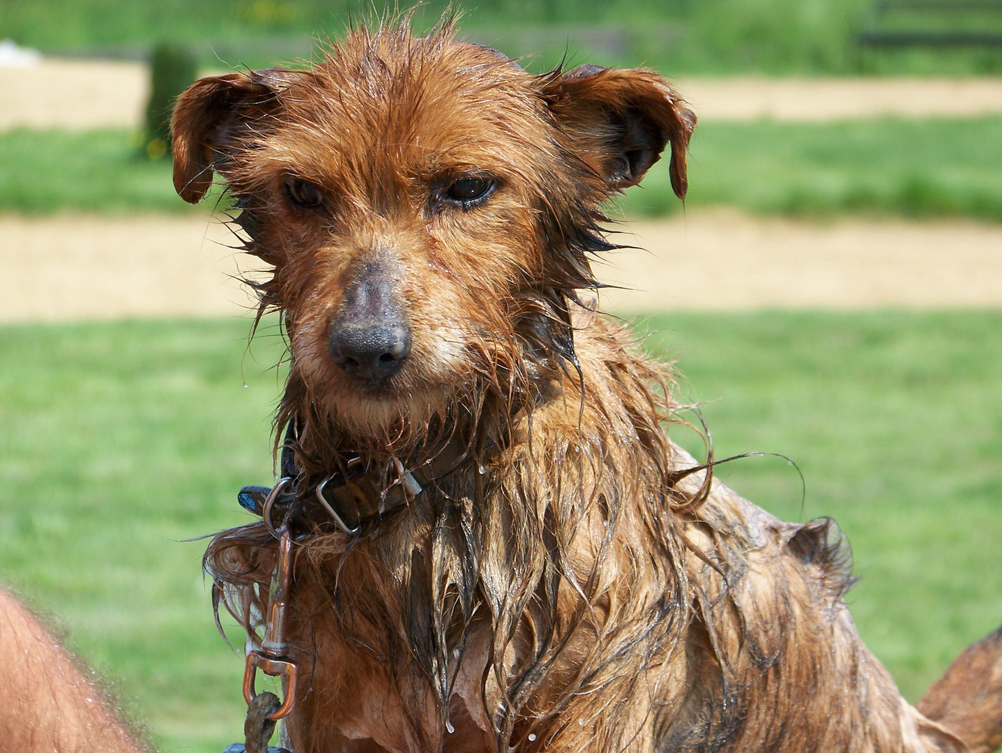 J'aime pas le bain !