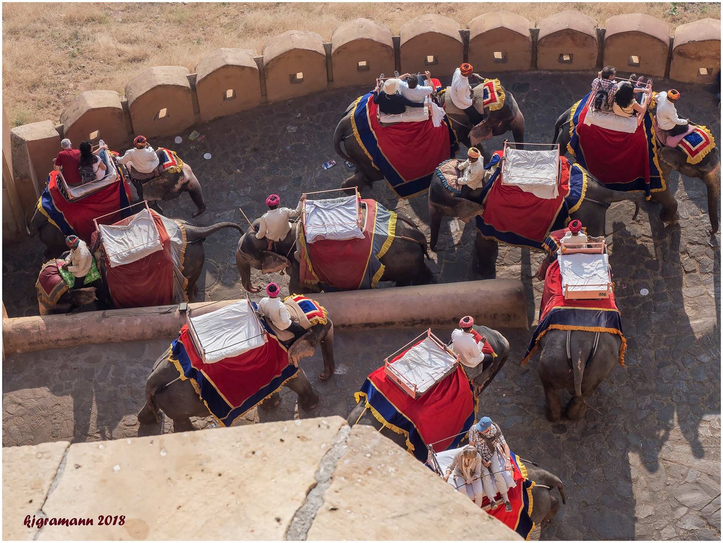 jaipur: elefantenparade.....