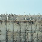 Jaipur - Hawa Mahal, men at work