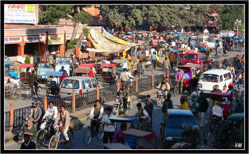 Jaipur la Rose...