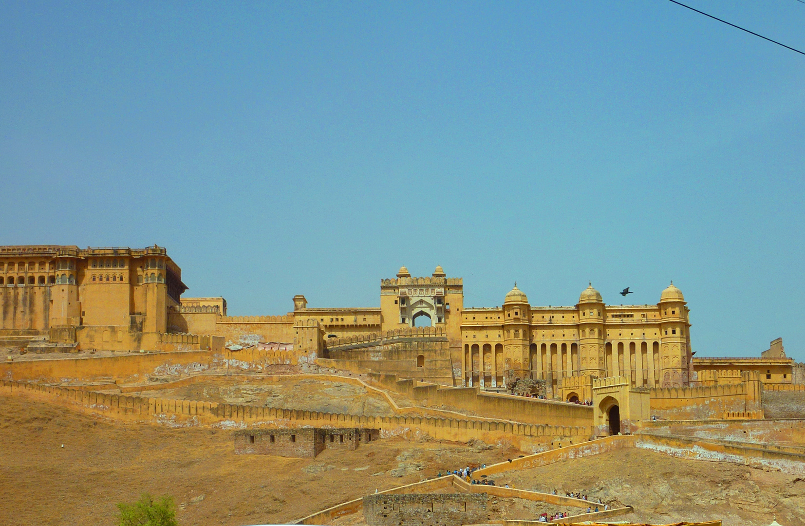 Jaipur Queen