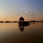 Jaisalmer