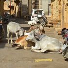 Jaisalmer 9, Streetfotos