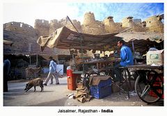 Jaisalmer - Marktstand mit Schwein