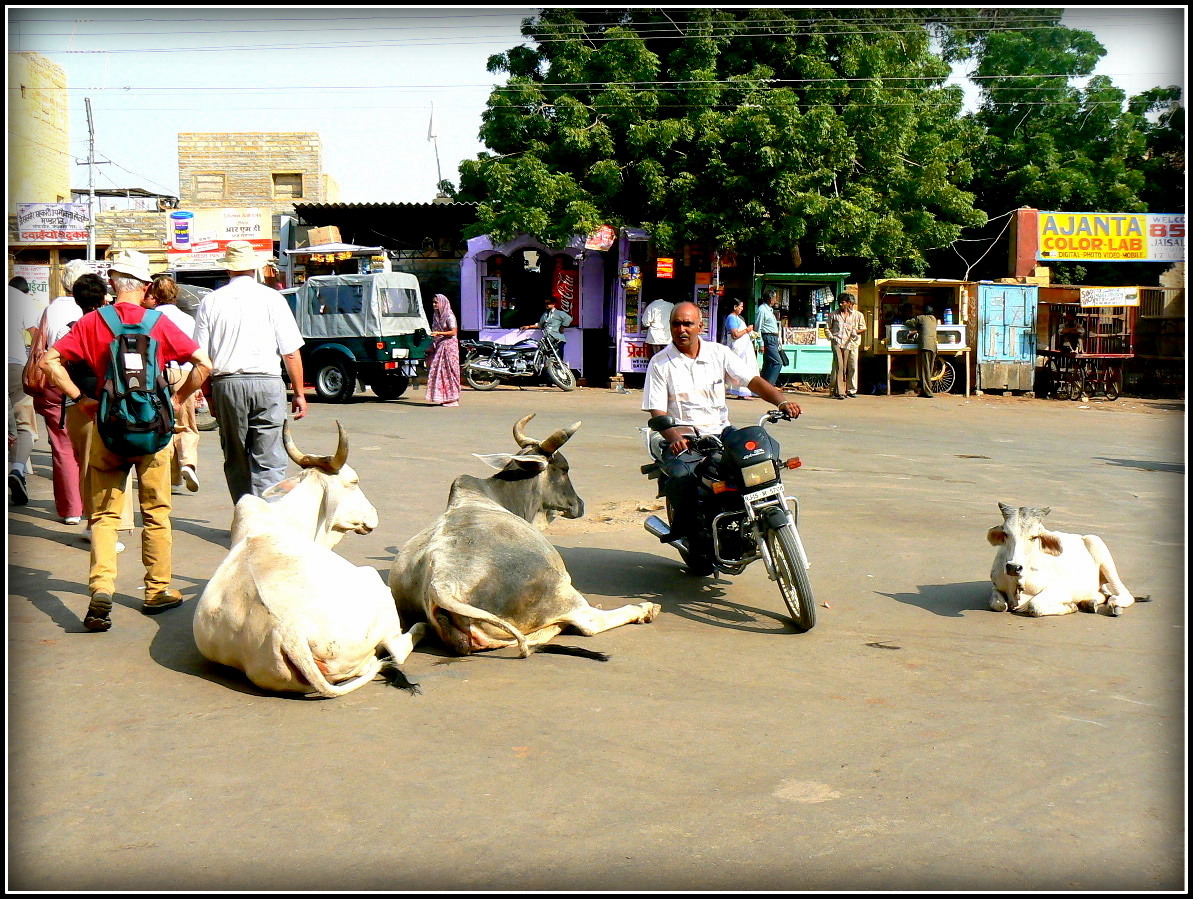 Jaisalmer -Scènes de vie