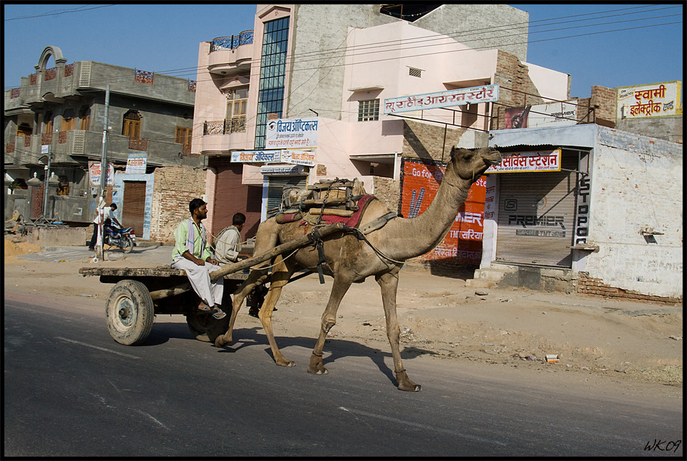 Jaisalmer Transport Company