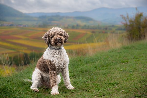 Jaja, ganz toll hier, können wa jetzt weiter??!!