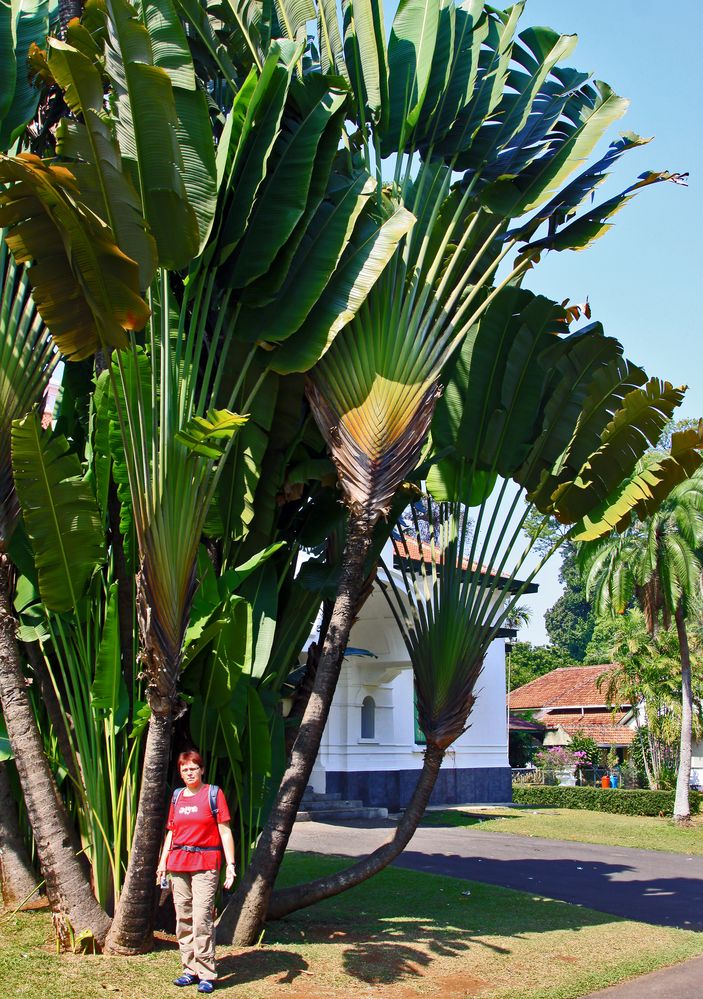 Jakarta-capital of Indonesia