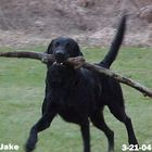 Jake the Great