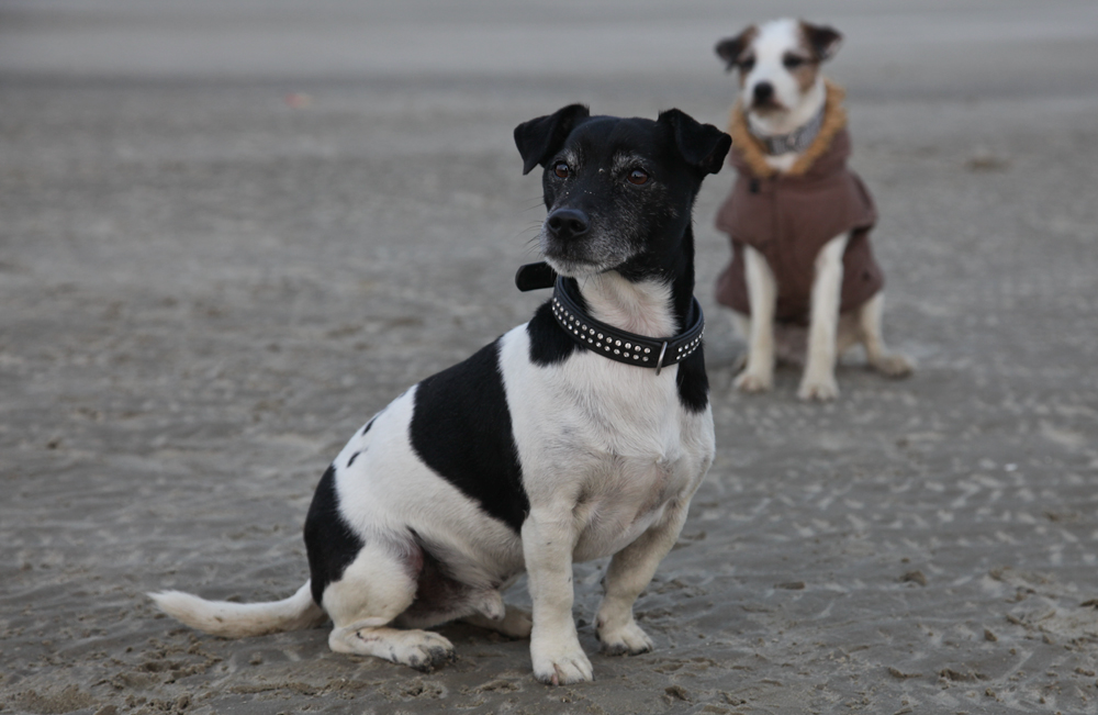 Jake und Paula