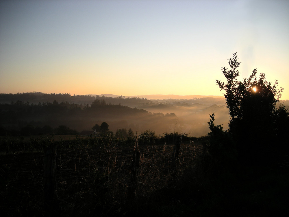 Jakobsweg 07 - Morgen über Pedrouzzo 2