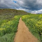 Jakobsweg - Auf dem Weg nach Chirauqui