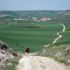 Jakobsweg - Auf dem Weg nach Hornillos del Camino