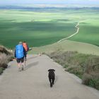 Jakobsweg - Auf dem Weg von Castrojeriz nach San Nicolas