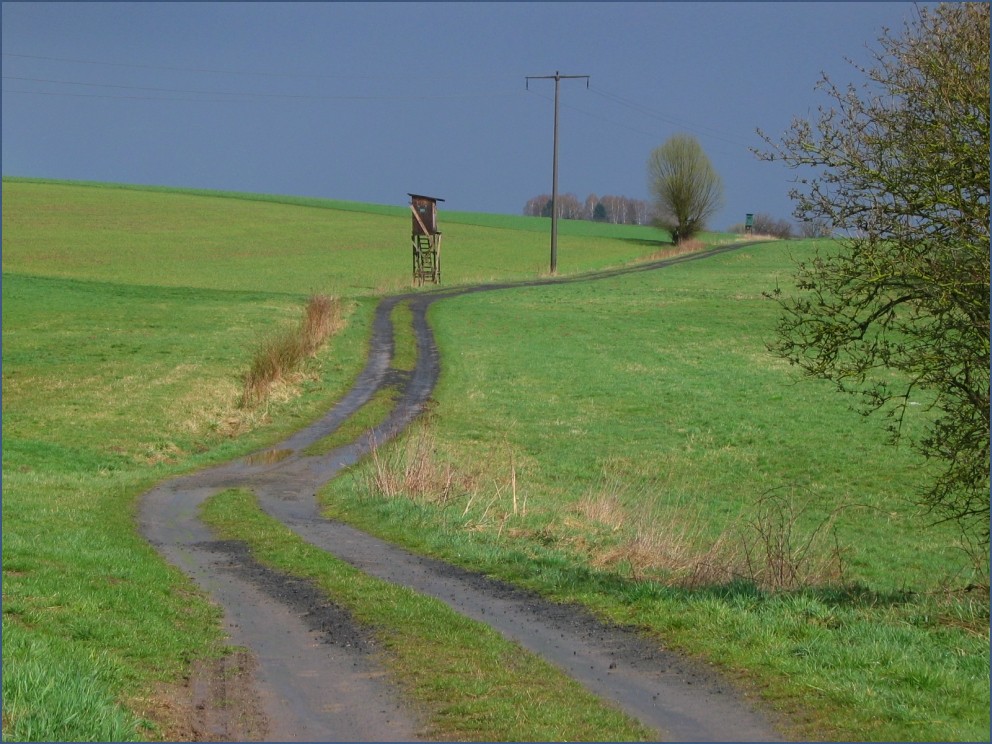 Jakobsweg im Hessischen Bergland