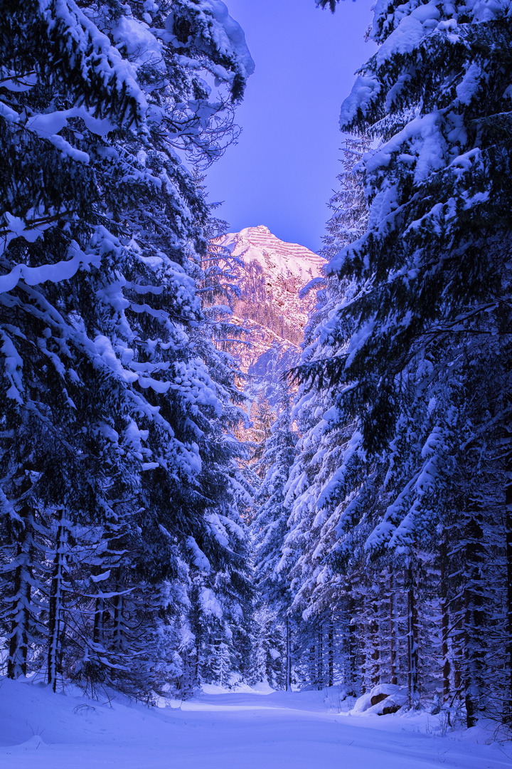 Jakobsweg im Klostertal