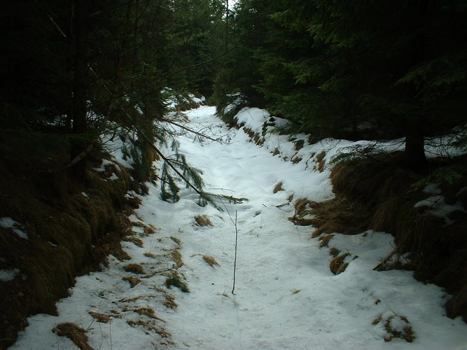 Jakobsweg im Schnee