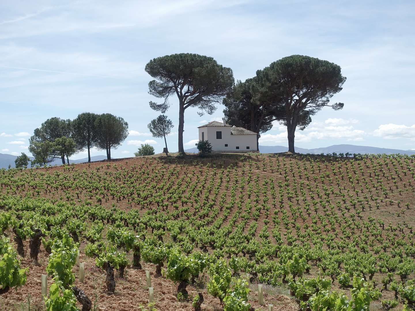 Jakobsweg - In der Nähe von Villafranca del Bierzo