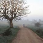 Jakobsweg - Morgens auf dem Weg nach Atapuerca