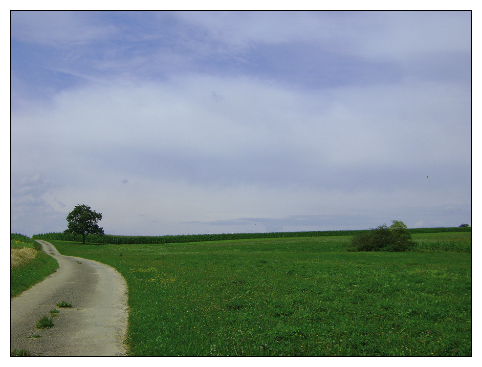 Jakobsweg Rothenburg - Ulm (10)