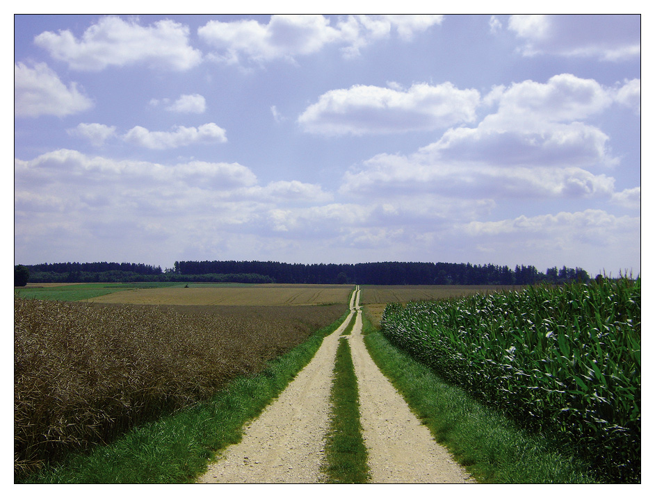 Jakobsweg Rothenburg - Ulm (14)