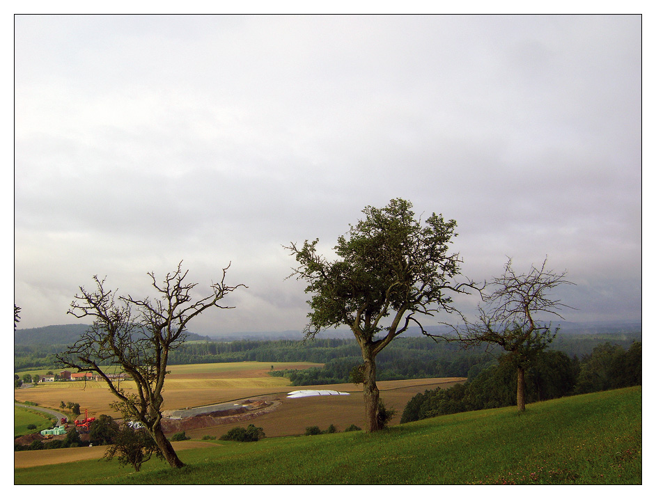 Jakobsweg Rothenburg - Ulm (6)