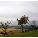 Jakobsweg Rothenburg - Ulm (6)