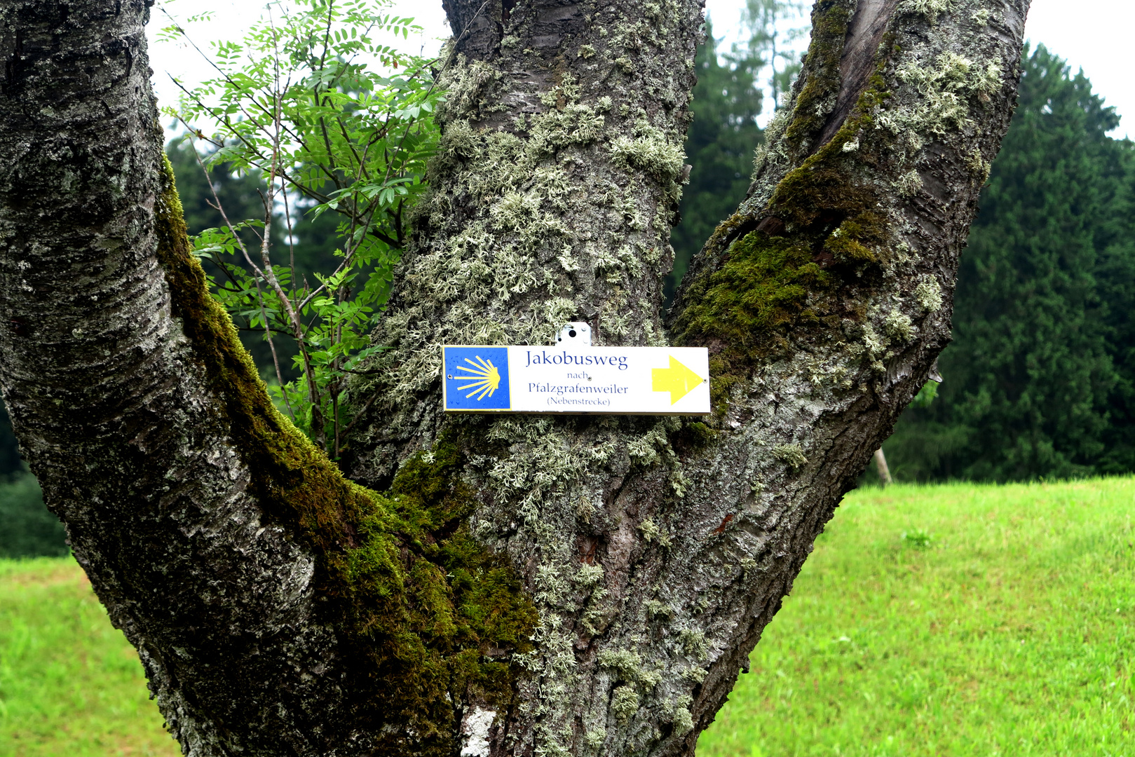 Jakobsweg - Schwarzwald-Route