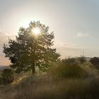 Jakobsweg: Sonnenuntergang vom Monte Irago