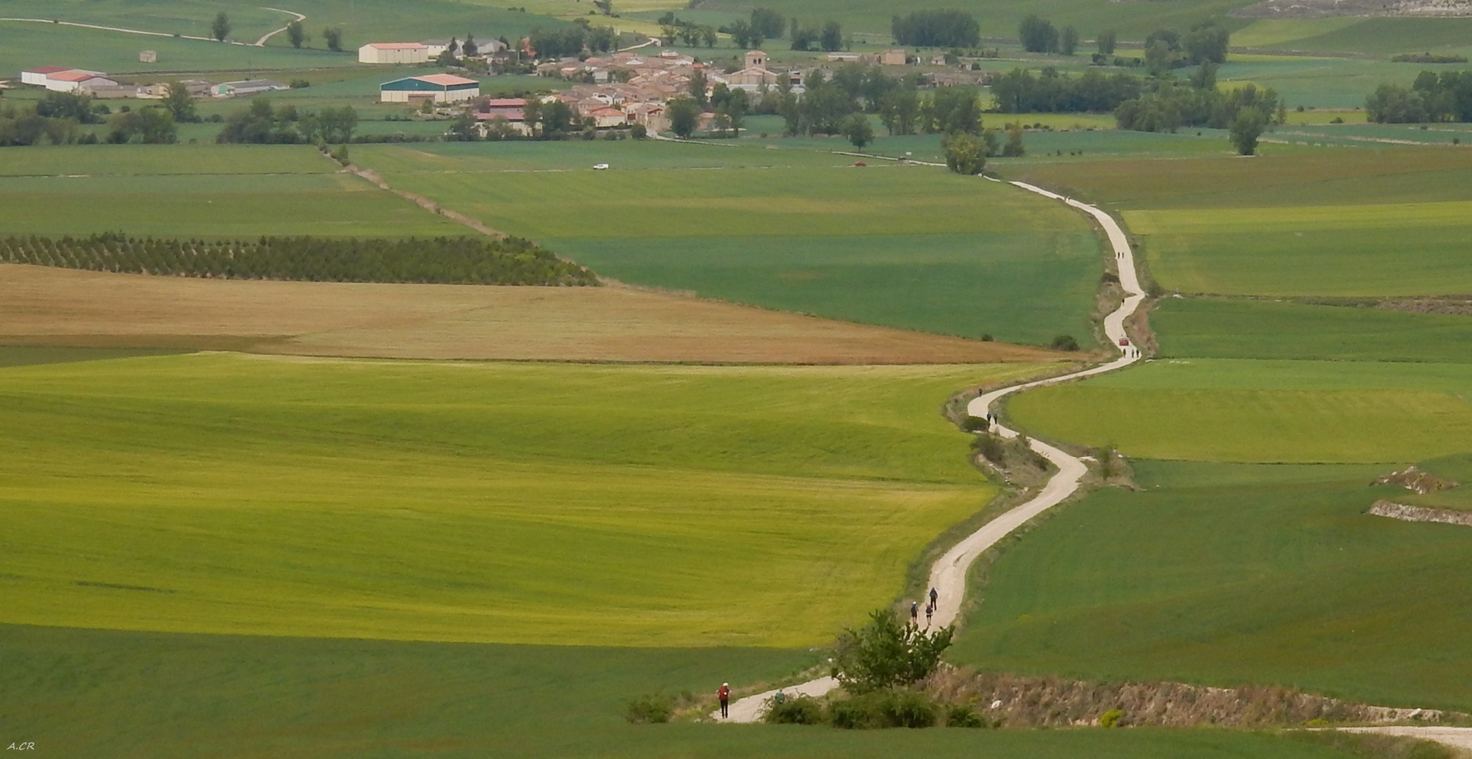 Jakobsweg Teil II